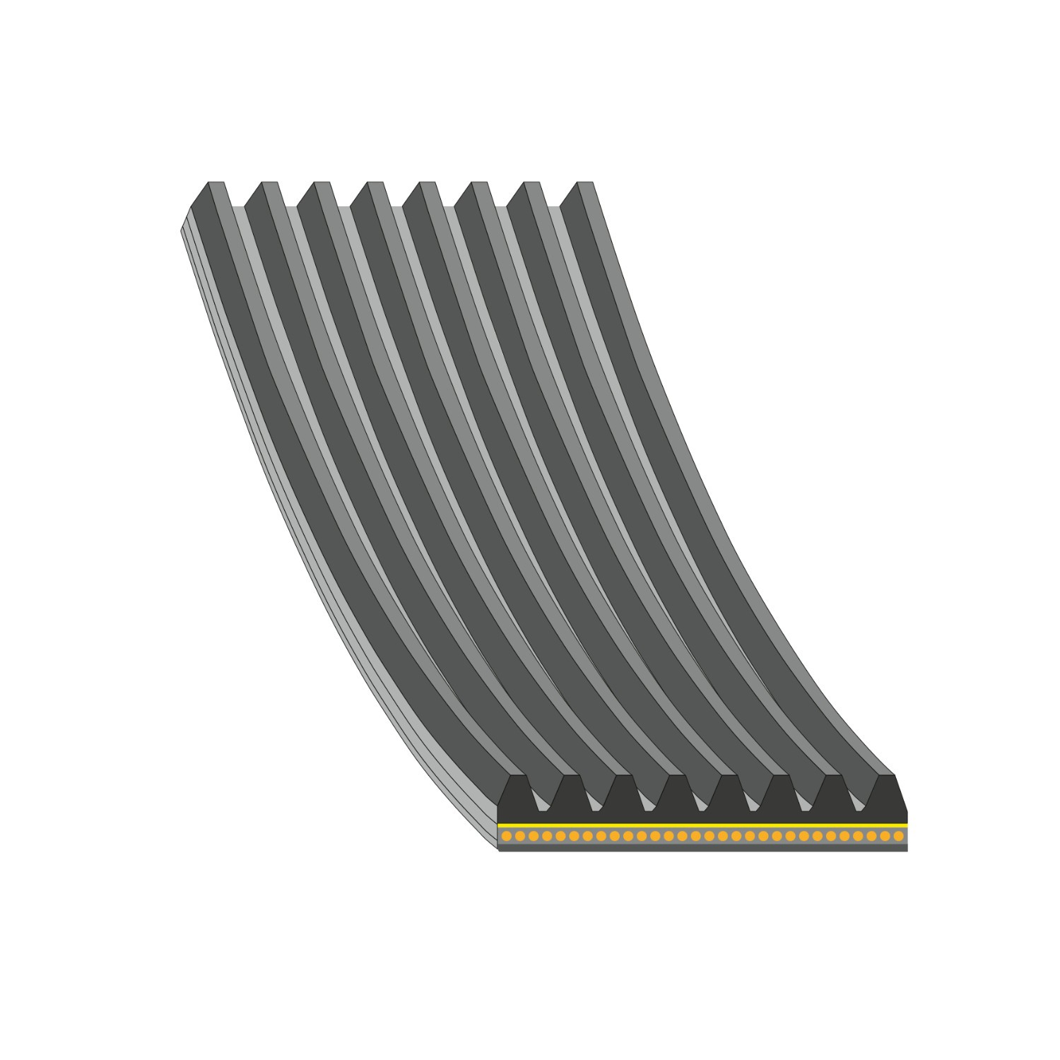 Correa poly v para BMW 1  F40